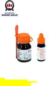 Ionómero de vidrio modificado con resina