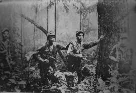 Guerrillas comunistas.