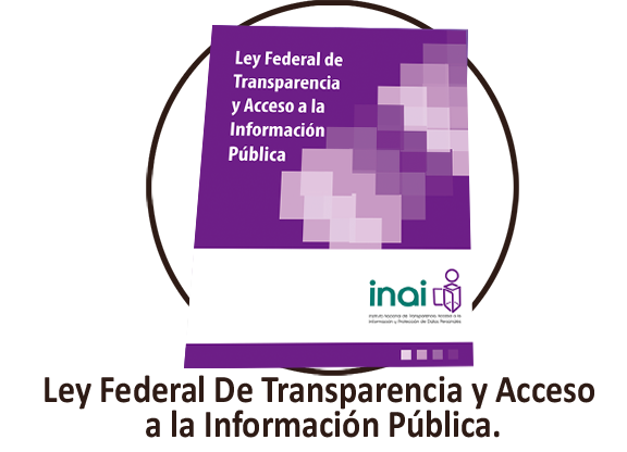 Se publica la Ley General de Transparencia y Acceso a la Información Pública