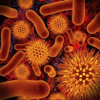 Con el establecimiento definitivo de la teoría del germen, la epidemiología como todas las ciencias de la salud adoptó un modelo de causalidad que reproducía de la física y en el que un solo efecto es resultado una sola causa siguiendo conexiones lineales