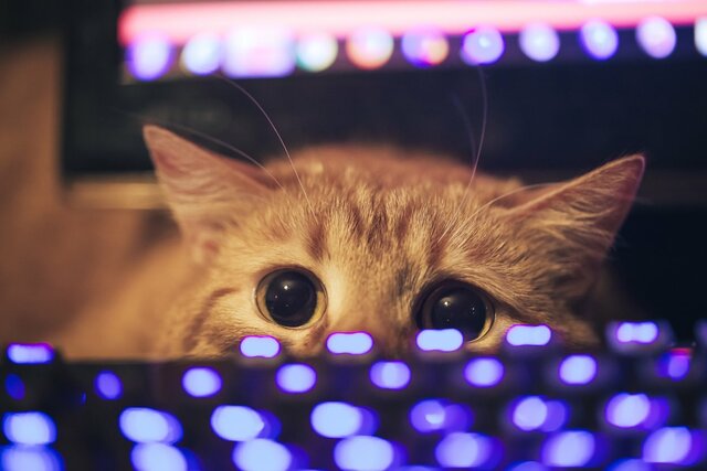 "Deep Learning" captacion y Prediccion de Imagenes