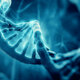 Genetica e1554588448726