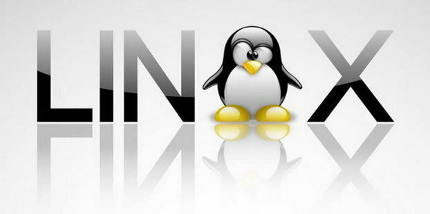 Primera versión lanzada oficialmente