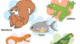Timeline: EVOLUCIÓN DE LOS VERTEBRADOS