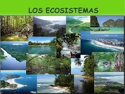 Historia del Ecoasistema