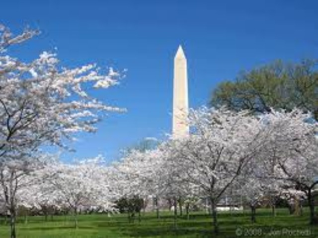 British Burned Washingtom