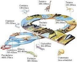 1500 aparición de los eucatotas