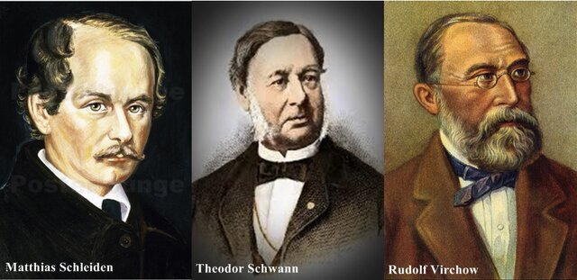 Los seres vivos compuestos por células