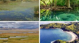 Timeline: Ecosistemas