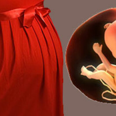 Timeline: EL EMBARAZO Y LA GESTACIÓN