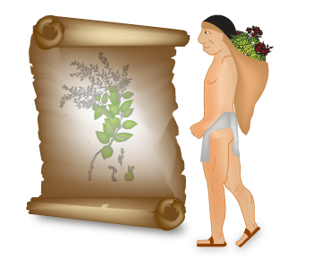 Fitofármacos en vías de obtención