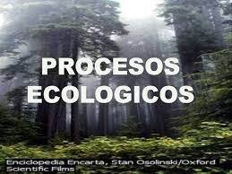 •	Procesos ecológicos