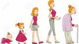 Timeline: ETAPAS DE LA VIDA