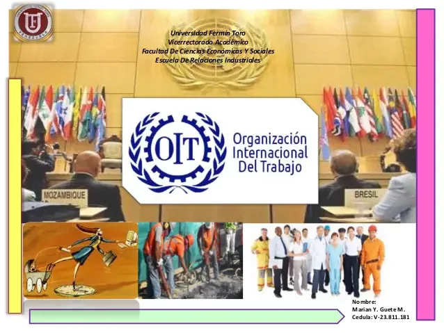 Promoción y desarrollo de programas de rehabilitación
