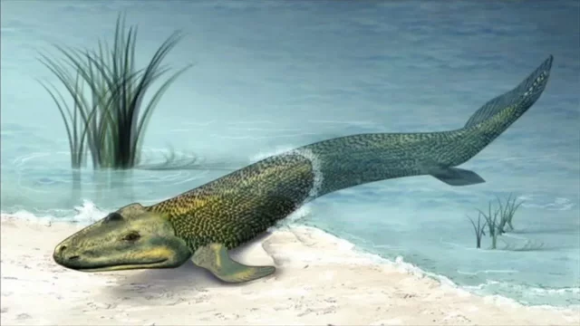 Era Paleozoica