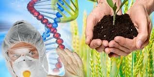 Edición genómica en plantas