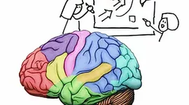Timeline: Evolucion de las neurociencias en la conducta