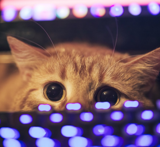 2012. El verdadero poder del deep learning