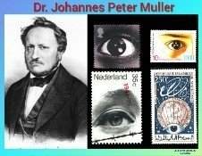 Johannes Petter Muller