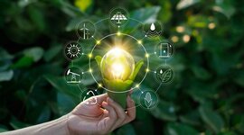 Timeline: Precedentes de las ciencias ambientales