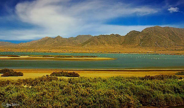 salinas de cabo de gata
