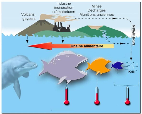 E.G Hunt y A.I. Bischoff