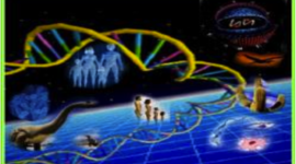 Timeline: Historia de la biología molecular (siglo XX-XXI) - Presentado por: Naida Yurleni Cardenas González, Maria Fernanda Puerto Cardenas y Jenifer Andrea Betancur Ceballos