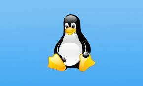 Linux 2.6.36