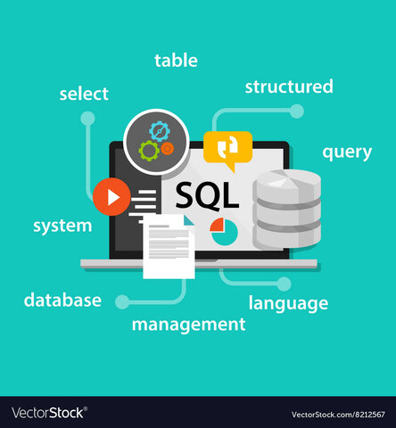 SQL (Structured Query Language)