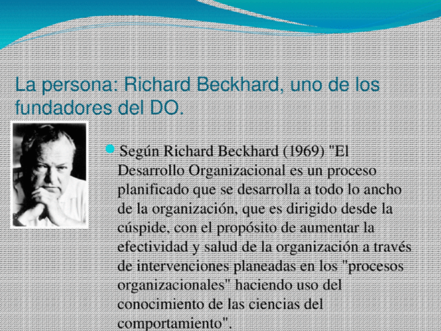 Desarrollo organizacional