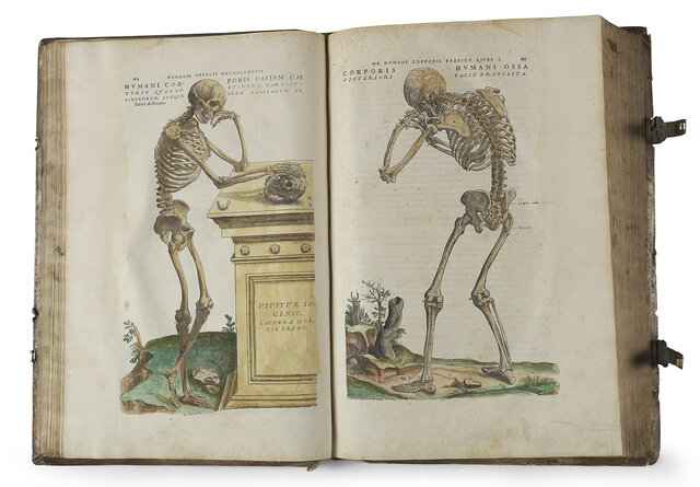Vesalius publishes his anatomy work.
