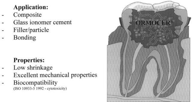 Desarrollo de Ormocers