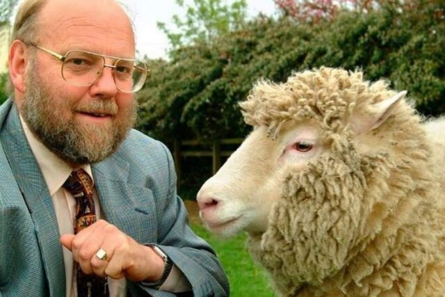 La Oveja Dolly, primer animal clonado de una célula adulta