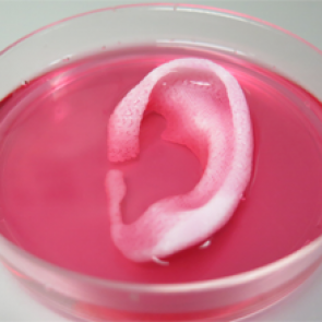 Logran crear huesos, músculos y cartílagos con una bioimpresora 3D