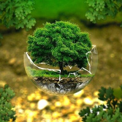 Timeline: antecedentes historicos de la ecologia Jocelyn Alfaro P