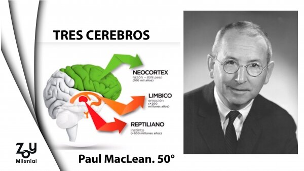 Paul D. Maclean  (Teoria Neurocientífica)