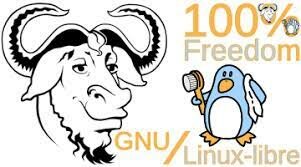 Linux-libre y Linux 2.6.28