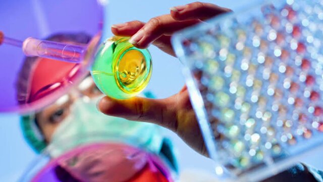 Segunda mitad del siglo xx (1975-ahora)