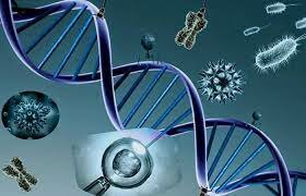 Término Bioquímica