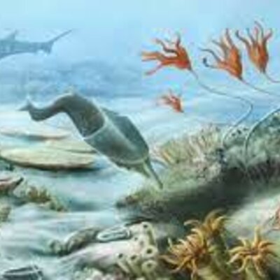 Timeline: Era: Paleozoica