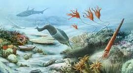 Timeline: Era: Paleozoica