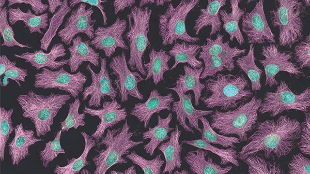 Privacy and protection