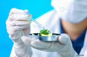 Bioquímica en productos naturales