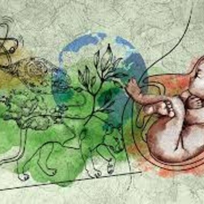 Timeline: Mi historia de vida