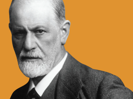 Debilidad del sujeto soberano