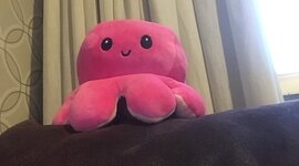 Timeline: A família da Roberta Cancado Vilela