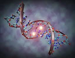 APARICION DE LA BIOLOGIA MOLECULAR