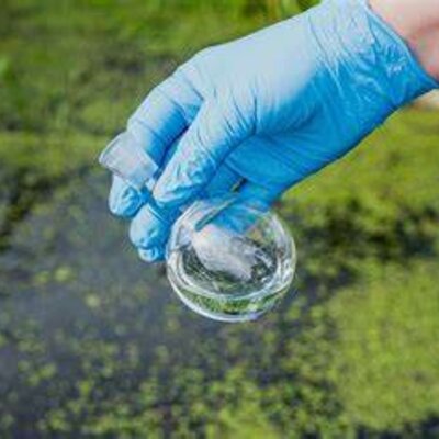 Timeline: PRECEDENTES DE LAS CIENCIAS AMBIENTALES