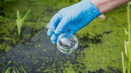 Timeline: PRECEDENTES DE LAS CIENCIAS AMBIENTALES