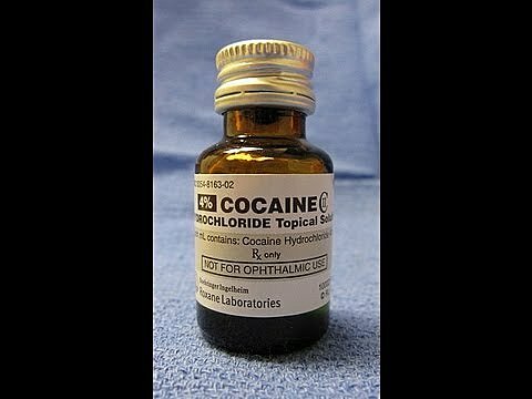 Carl Koller descubrió las propiedades analgésicas de la cocaína. Ese mismo año, Halsted y Hall utilizaron cocaína como anestésico local (bloqueo del nervio alveolar inferior) en odontología.